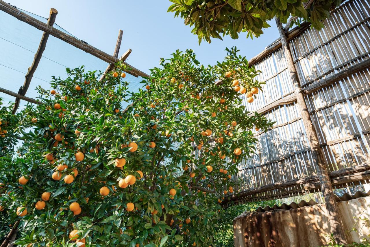 Hotel Pane E Marmellata Sant'Agnello Exterior foto
